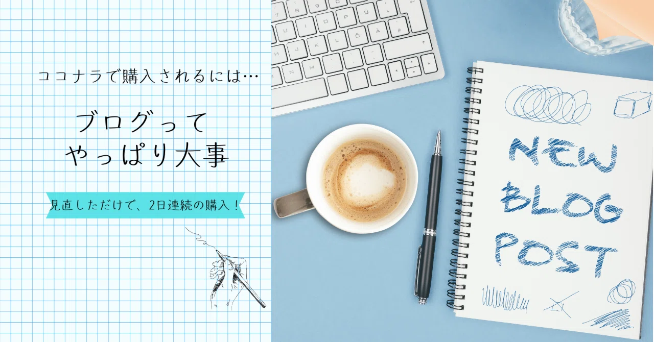 Just by reviewing my blog... I got orders for 2 days in a row!｜みおり⋆☽·̩͙ ...