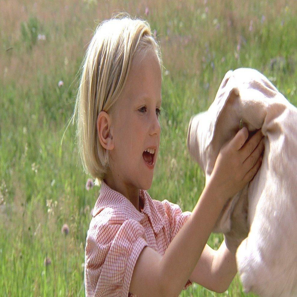 田並劇場 『ロッタちゃんと赤いじてんしゃ』上映 2025年7月21日（月