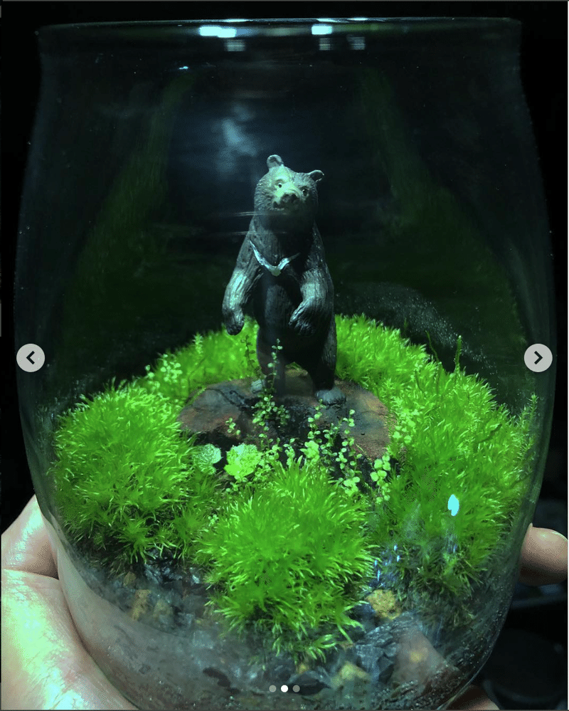 和物シリーズ 苔テラリウムの世界 1 紹介編 りな Note 和物シリーズ 苔テラリウムの世界 1 紹介編 りな Note