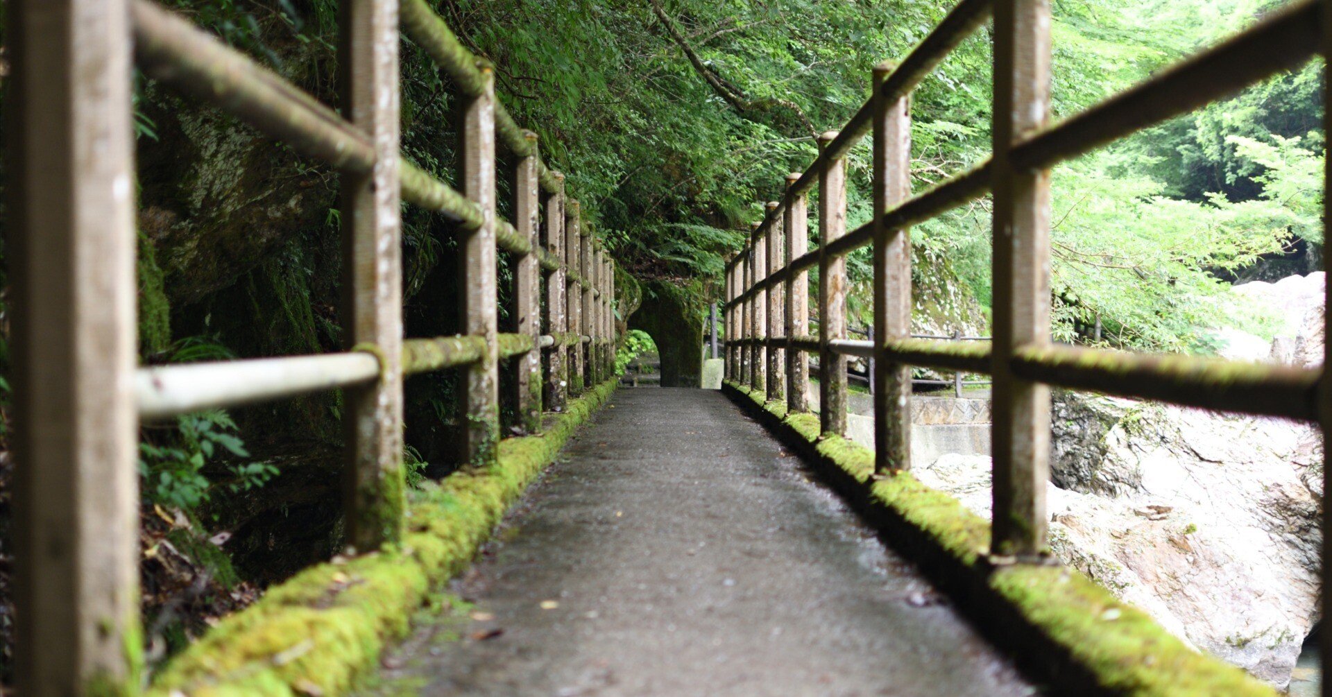 2025夏〜涼を求めて高知県中津渓谷｜Kazu8492