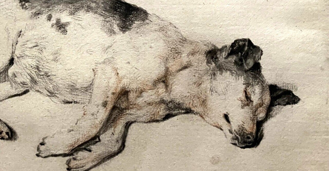 素描展｜おやすみくじら