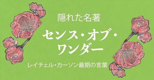デロールの理科室から 美しい掛図と科学考察 デロールの理科室から 美しい掛図と科学考察 | ルイ＝アルベール