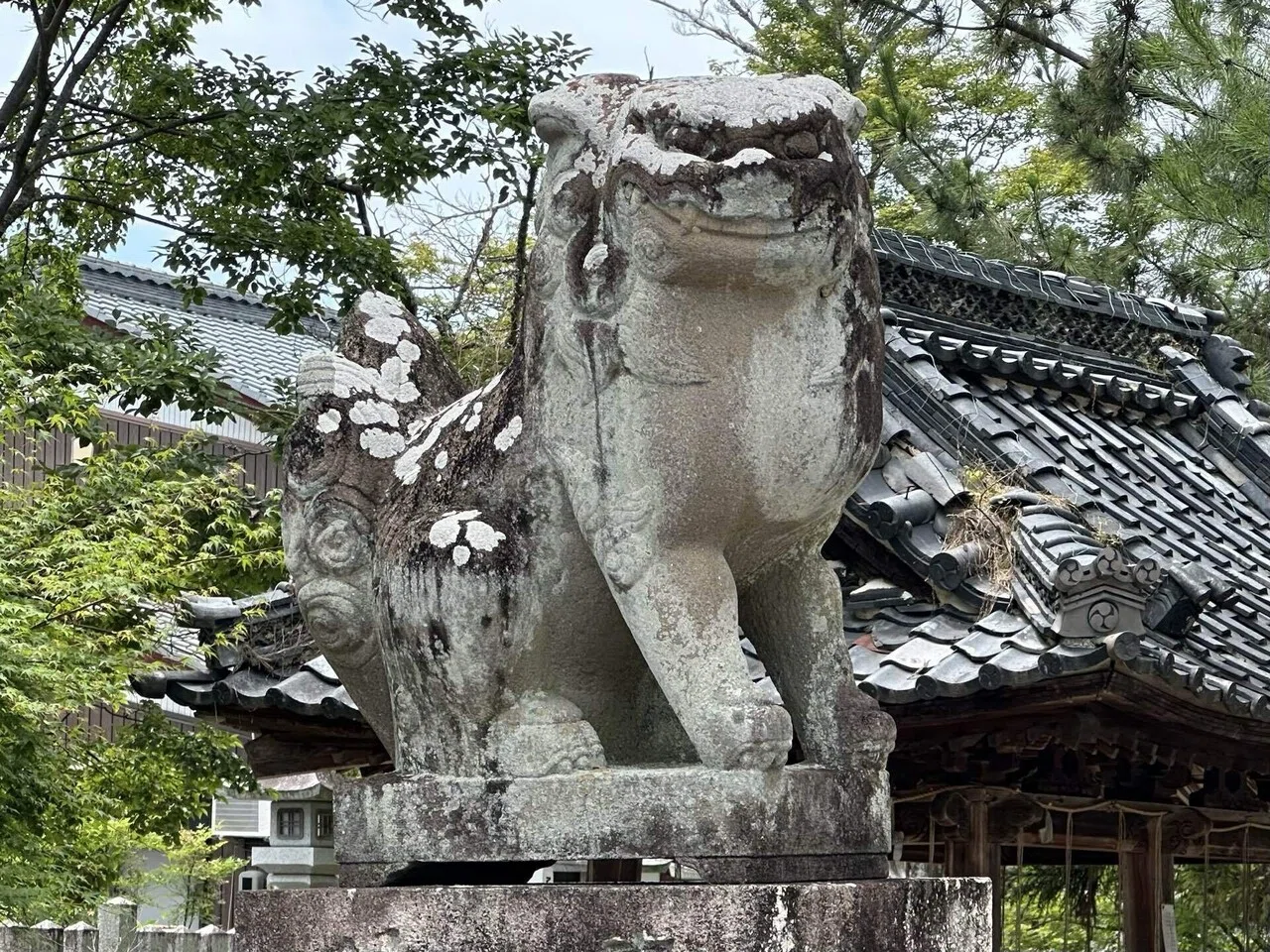 5407 神明神社 滋賀県彦根市大藪町｜日本中全ての神社に参拝しようとする男