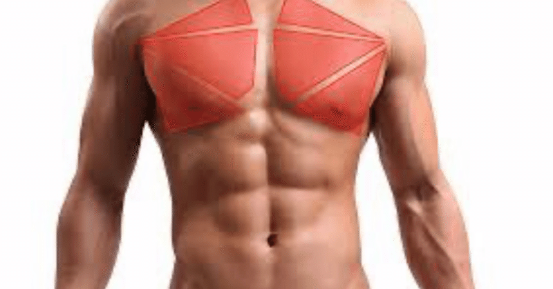 自宅で出来るオススメ自重トレーニング大胸筋編 Hiroki筋肉アドバイス Note