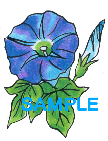 イラストデータ販売 透過png 夏の花イラストとおまけ アス太郎2 Note イラストデータ販売 透過png 夏の花イラストとおまけ アス太郎2 Note