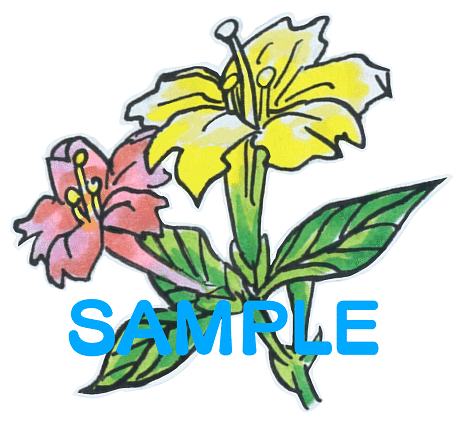 イラストデータ販売 透過png 夏の花イラストとおまけ アス太郎2 Note