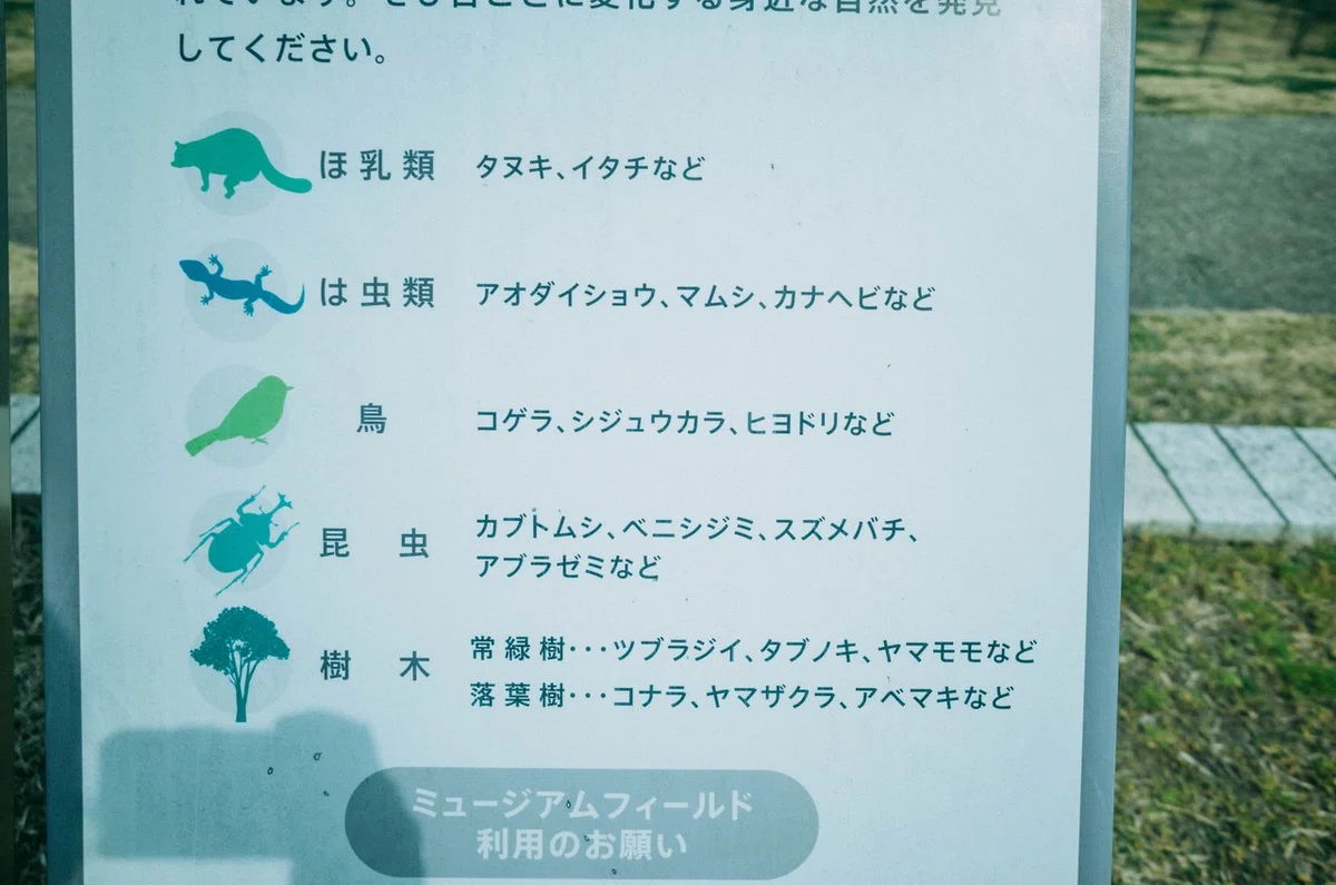 画像27