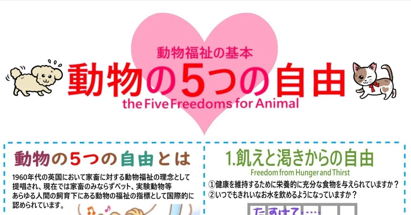 世界に広がる動物福祉の潮流と日本の課題｜藤田英明（Hideaki FUjita）