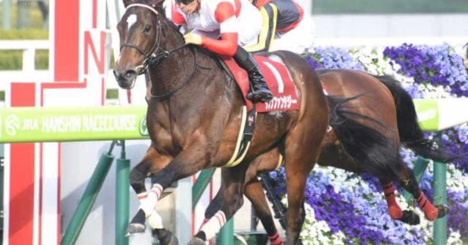 チューリップ賞の本命は チューリップ賞攻略へ 過去30年のデータ集 ネクステ競馬 Note