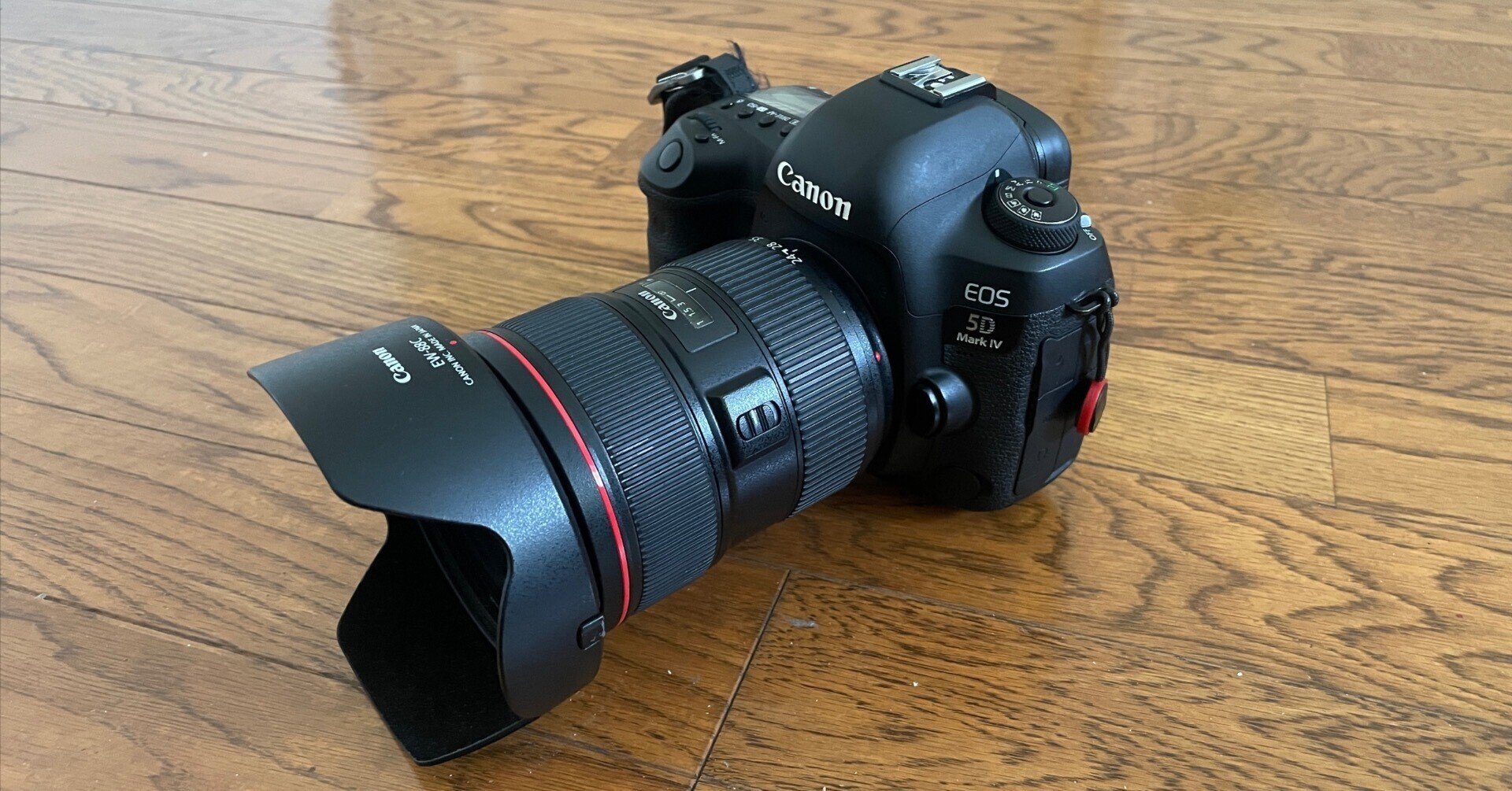 久しぶりのCanon EOS 5D Mark IV｜MOJA MOJA