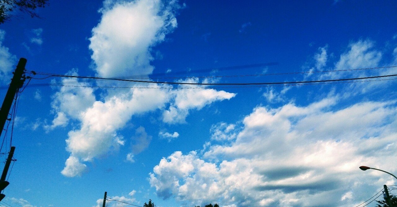 魔法の教室 & BUSINESS SKILL DOCTOR 初級 (奥田珠紀) これをすれば人生もビジネスもすべてうまくいく 奥田珠紀さんの動画