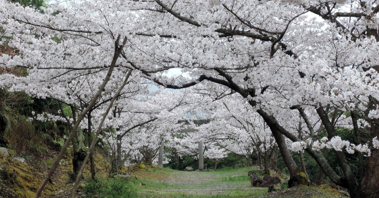 温故知新（84）日向三代 開化天皇（鵜草葺不合命） 椿井大塚山