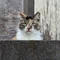 dora爺のクラシックピアノ