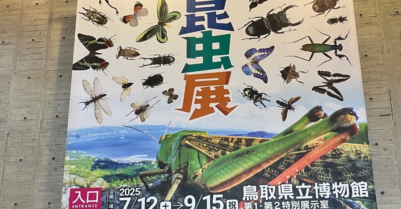 【中古】 新・治療食の理論と実際/光生館/中村治雄 120歳時代の生き方: 超技術と思いの力で目覚める健康革命 | 高橋