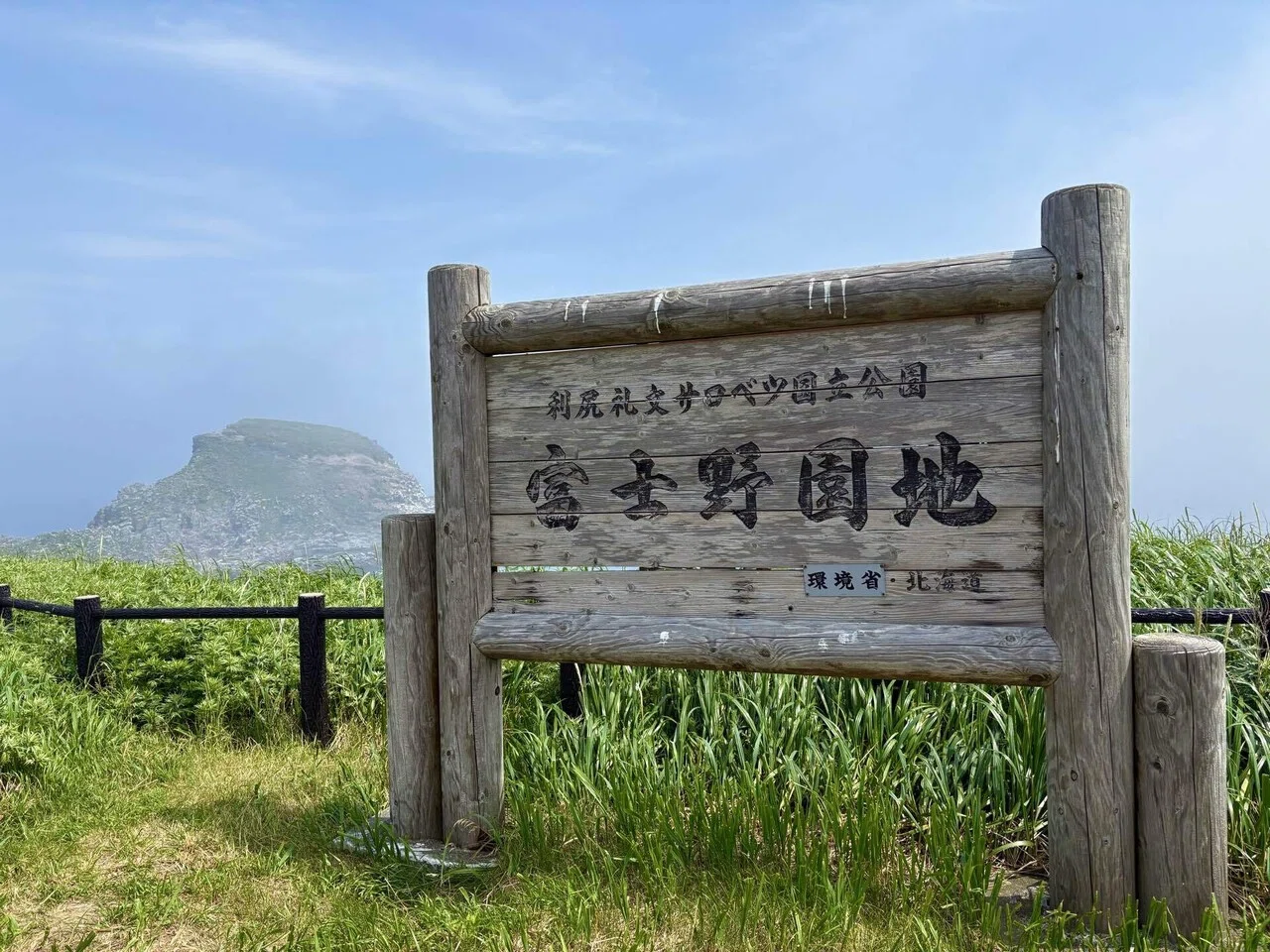 2025.06 ウニとエゾカンゾウを巡る旅②利尻島｜tama