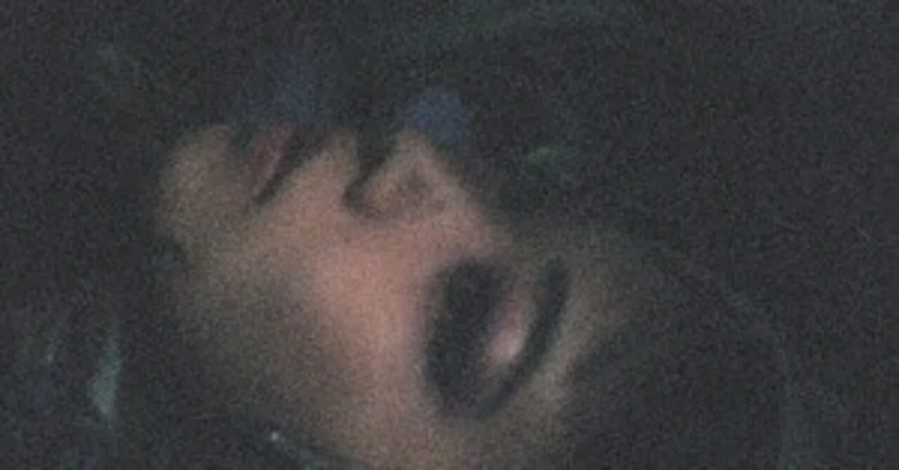 大好きなアルバム④ 青葉市子『マホロボシヤ』|やまちんN 大好きなアルバム④ 青葉市子『マホロボシヤ』|やまちんN