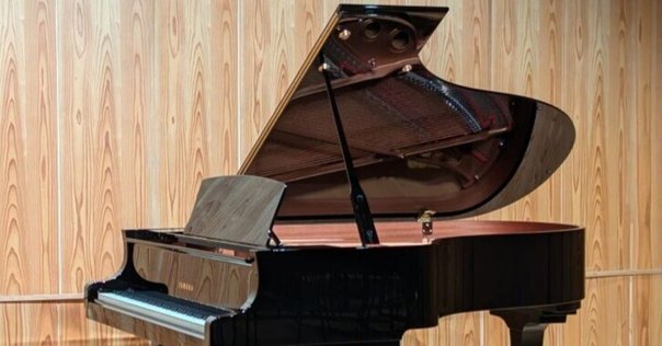 ある「完全な音楽家」の肖像 マダム・ピュイグ=ロジェが日本に遺したもの ある「完全な音楽家」の肖像 マダム・ピュイグ＝ロジェが日本に