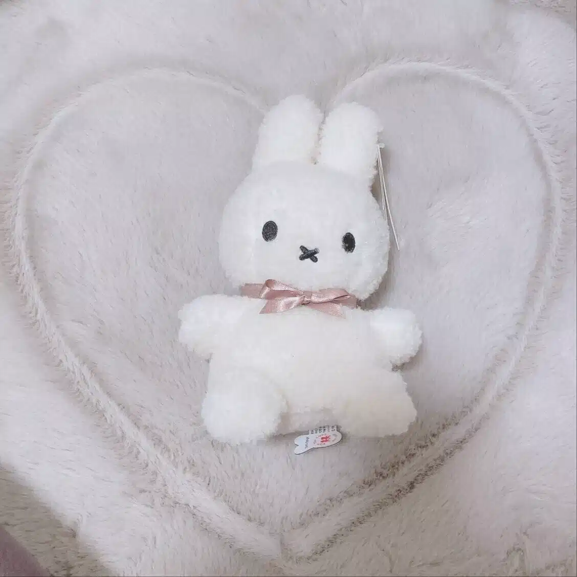 🐰mayu🐶