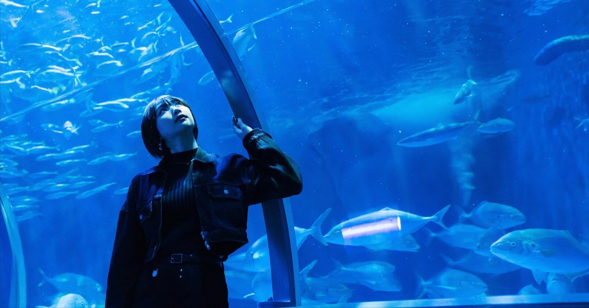 映えもスケールも桁違い！お城にしか見えない水族館【登別マリンパーク