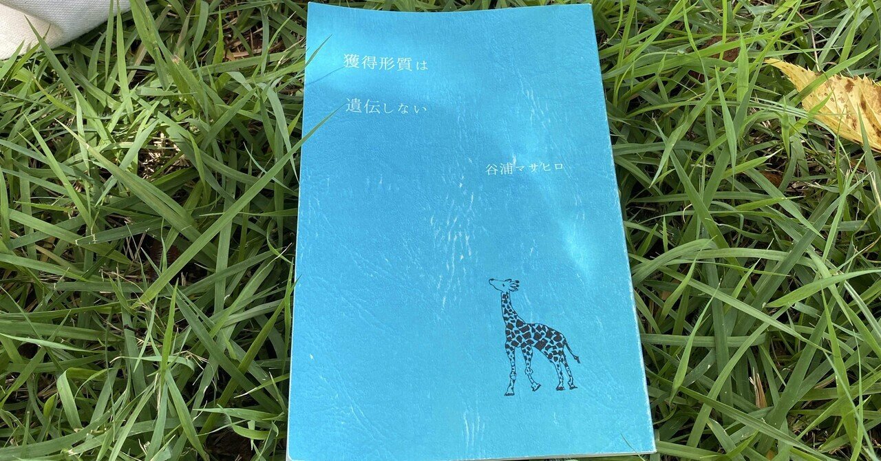 新刊】自主制作本の第二作目ができました｜谷浦