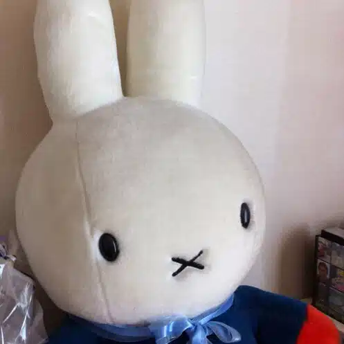 mimiorecord 相互フォロー