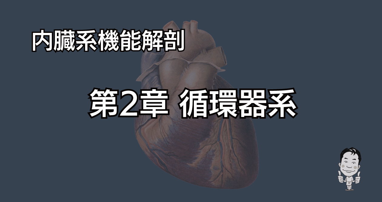 解剖学 第2章 循環器系｜かずひろ先生（黒澤一弘｜解剖学）｜note