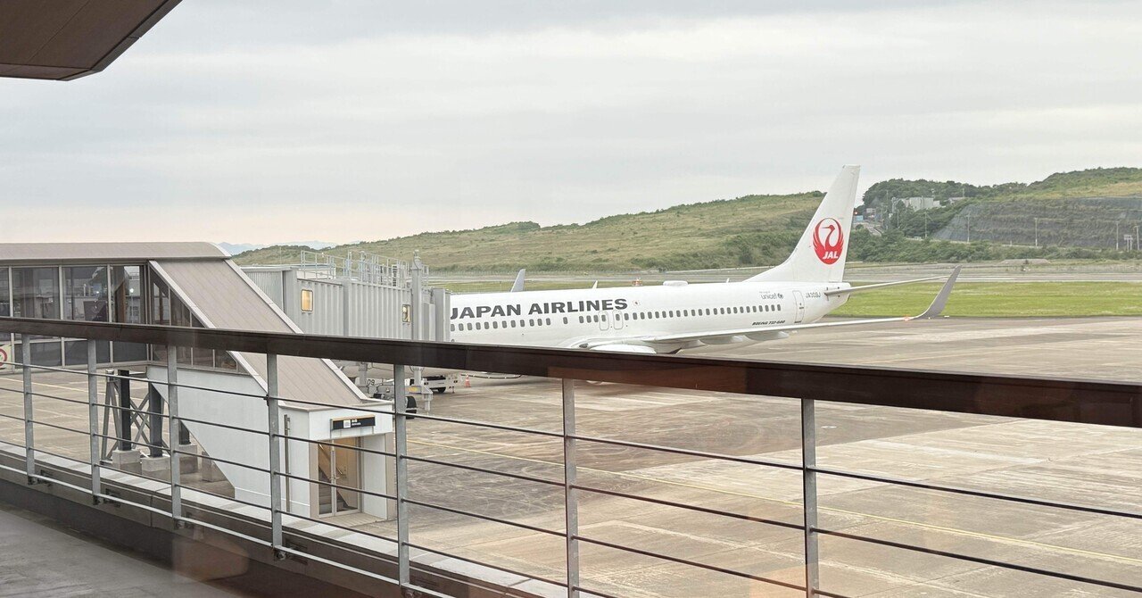 専用品 南紀白浜空港 1周年記念 御翔印】南紀白浜空港/SHM▶︎パンダと歩んだ町｜れもんぴん