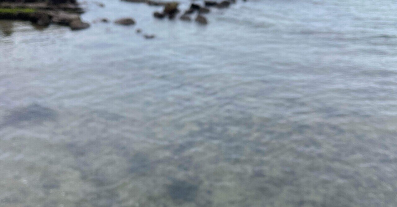ねむページ 250715〜0720｜ねむねむ