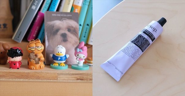 名人への道 小林陽子 日本書籍 DiMORA（ディモーラ）番組表