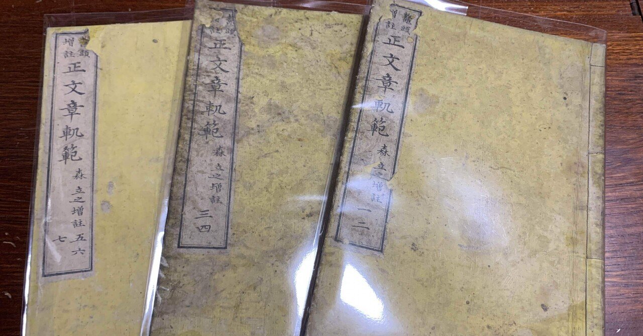 漱石文学全注釈 (12) 91JvxEDSRHL._UF350,350_QL50_.jpg