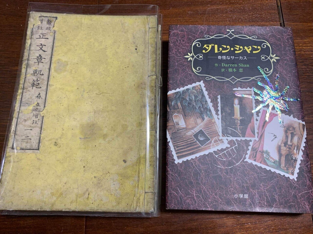 漱石文学全注釈 (12) 91JvxEDSRHL._UF350,350_QL50_.jpg
