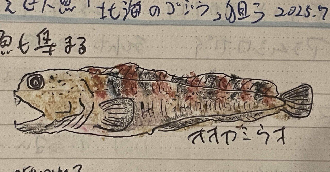 豊似石、ゴジラ、山型 豊似石、ゴジラ、山型