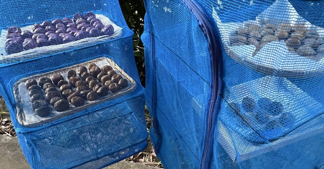 うめぼしページ② umeboshisheet40gx2.jpg