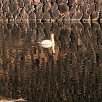 一木ピーエスエス