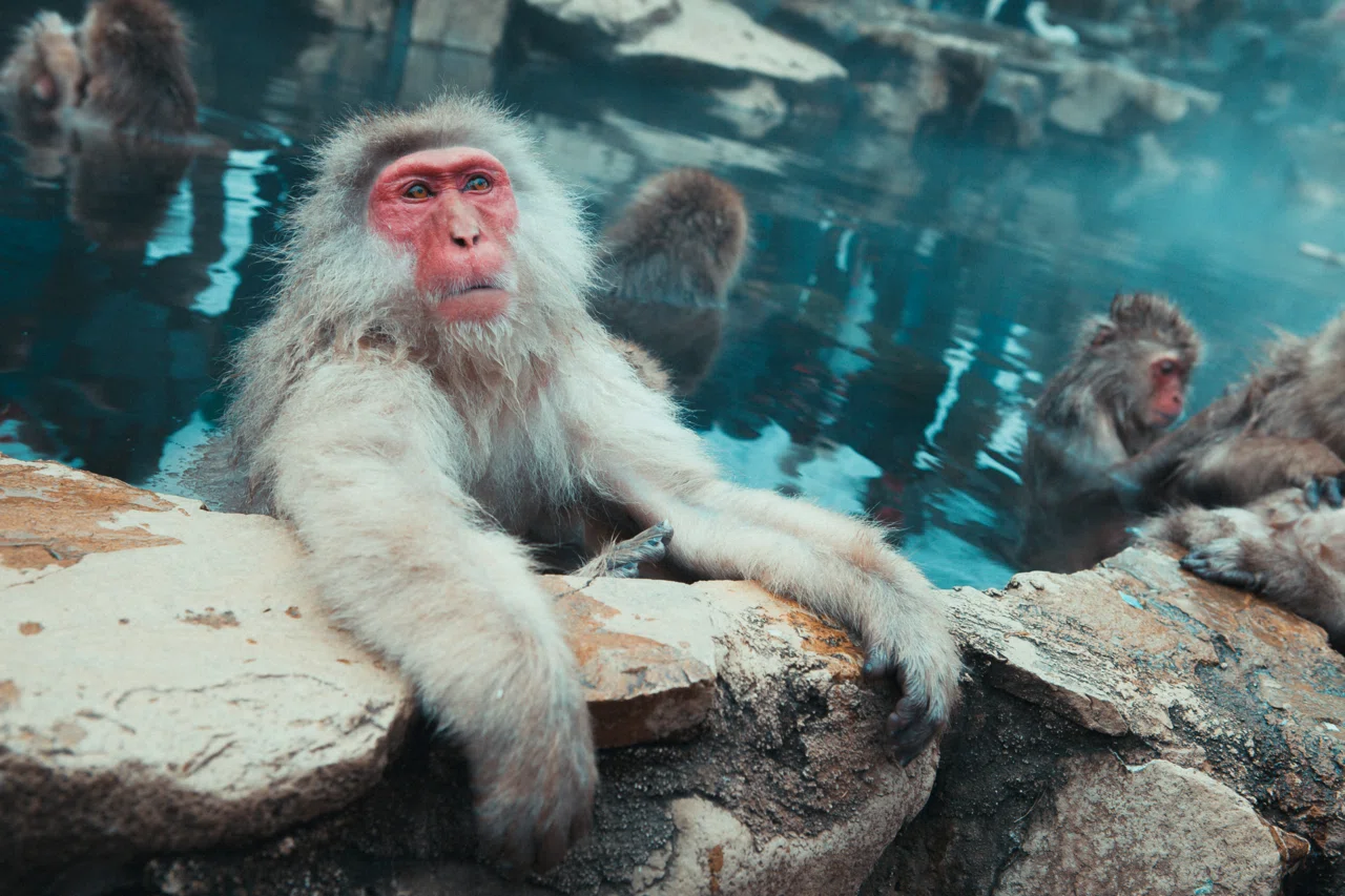 [Essential Guide] Recommended Hot Springs to Restore Mind and Body ...