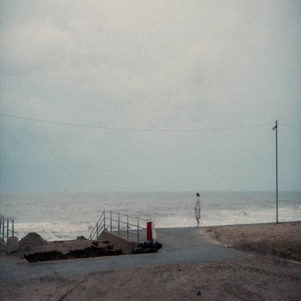 写真10枚目♪無地のみ♪ 写真が楽しくないと思ったらZfを片手に、10年ぶりに海へ向かった日