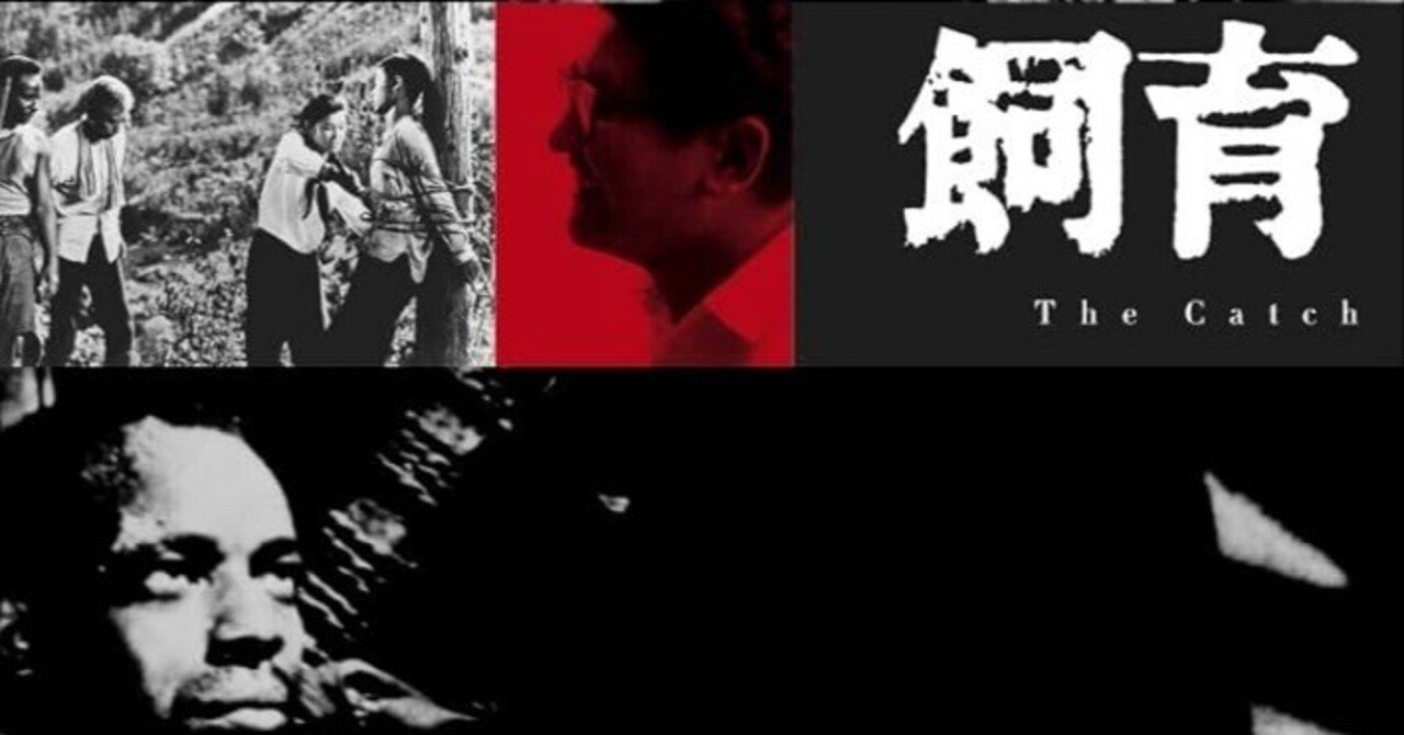 飼育 [DVD] 監督: 大島渚 原作: 大江健三郎 出演: 三國連太郎/沢村貞子/中村雅子/大島瑛子/浜村純 Amazon.co.jp: 飼育 [DVD] : 三國連太郎, 沢村貞子, 中村雅子
