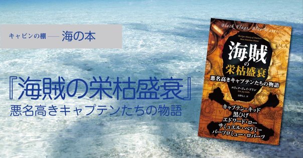 読書感想文 海賊の経済学｜とらつぐみ