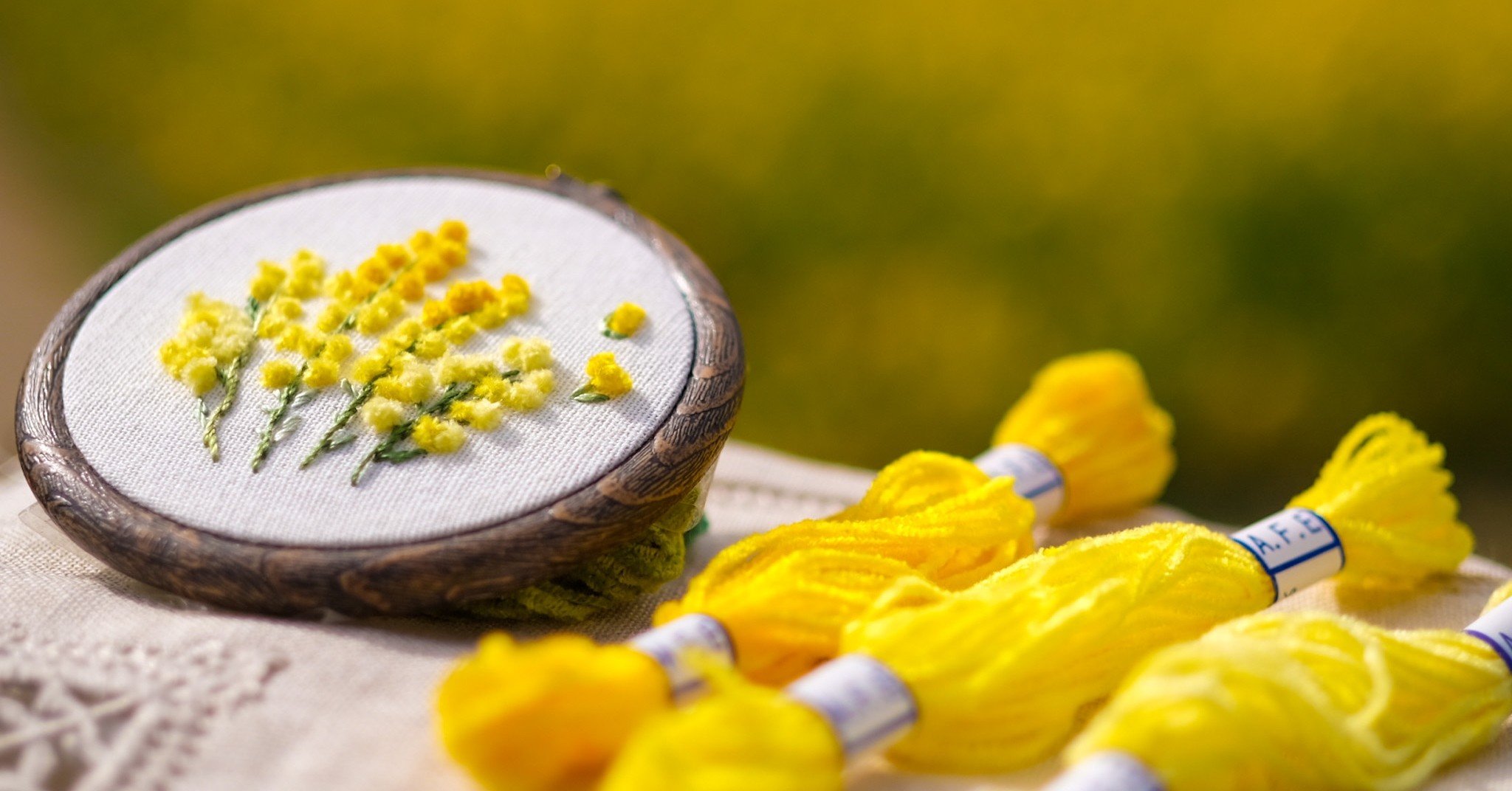 ミモザの花がさくとき その3 【開花】｜Art Fiber Endo