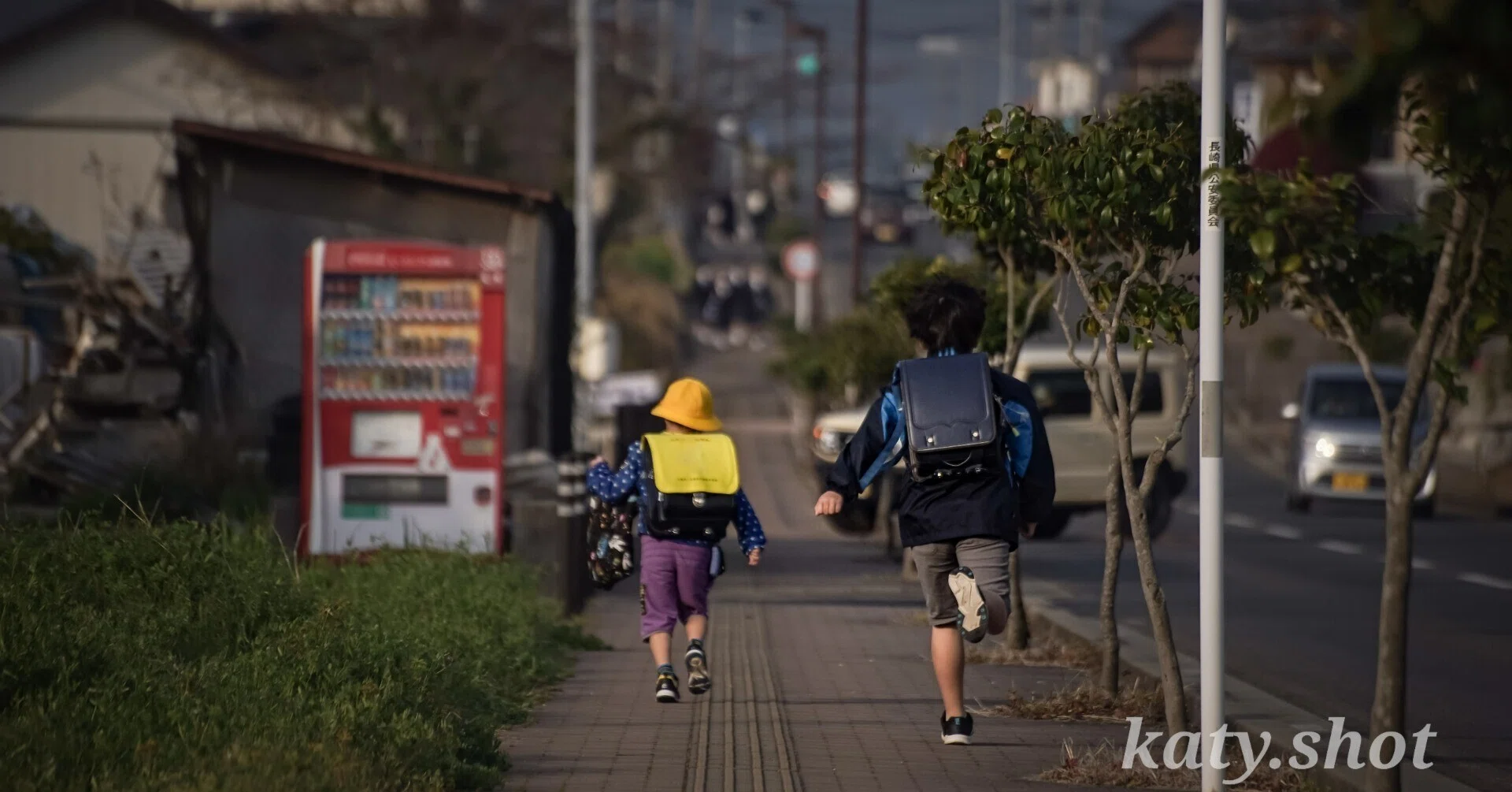 2本目のレンズで迷ったら。私が望遠レンズをおすすめする理由｜katy.shot