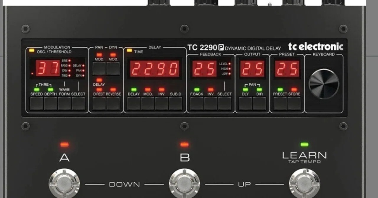 RSD-10 BOSS Delay Boss Digital Rack Micro Sampler | - ボス