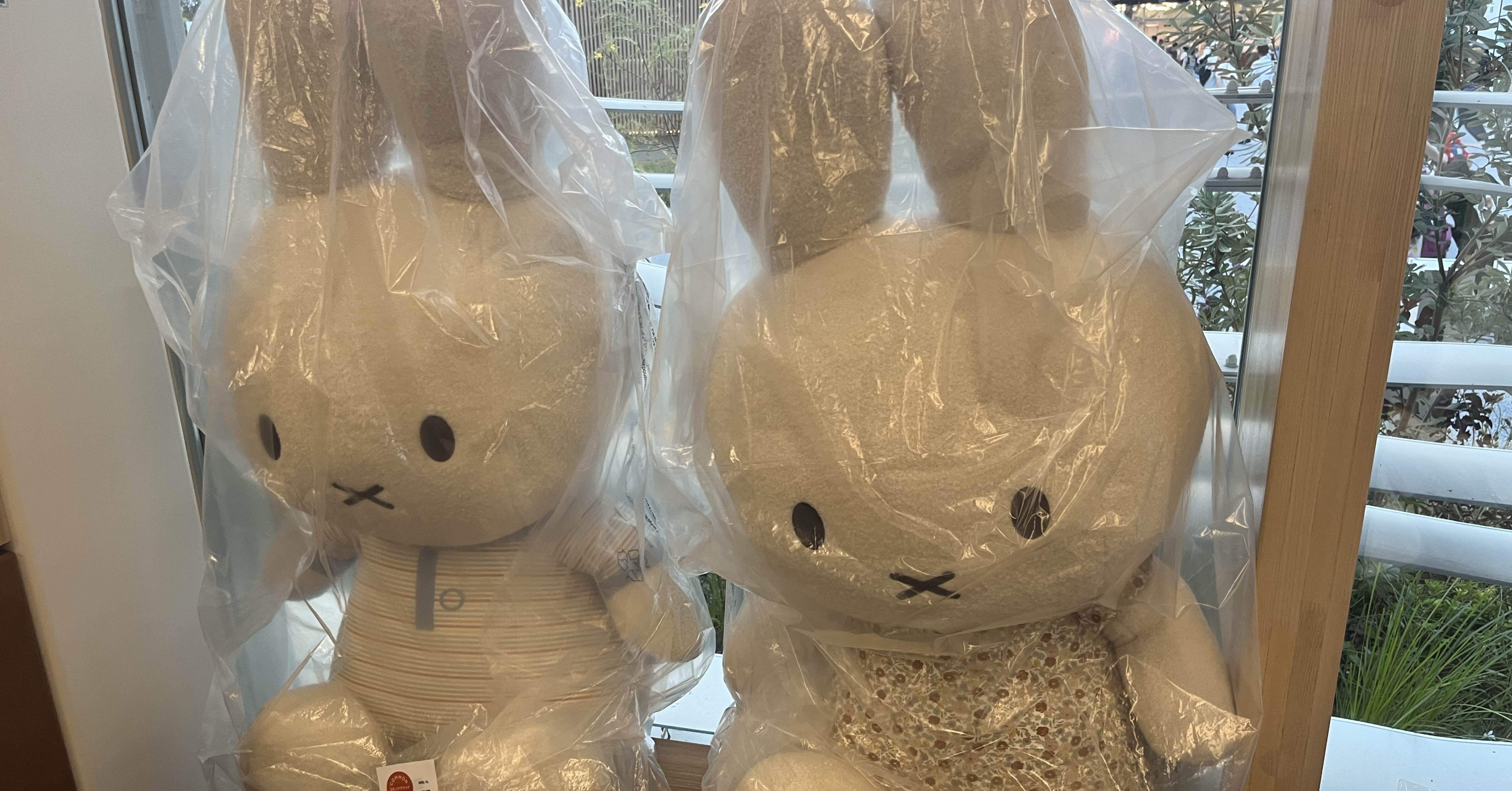 大阪・関西万博レポ】♯3（念願のオランダ館とミッフィーちゃん）｜mimi