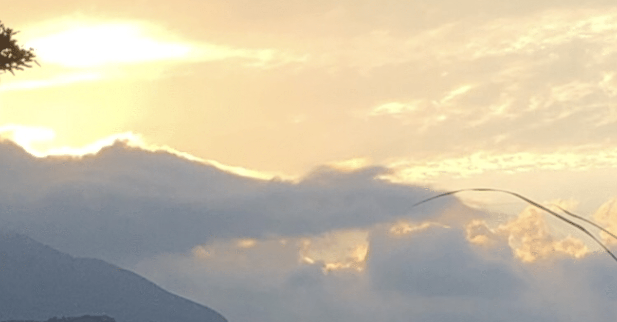 ありがとうございます😊🎶&朝陽⛅️｜ことん．