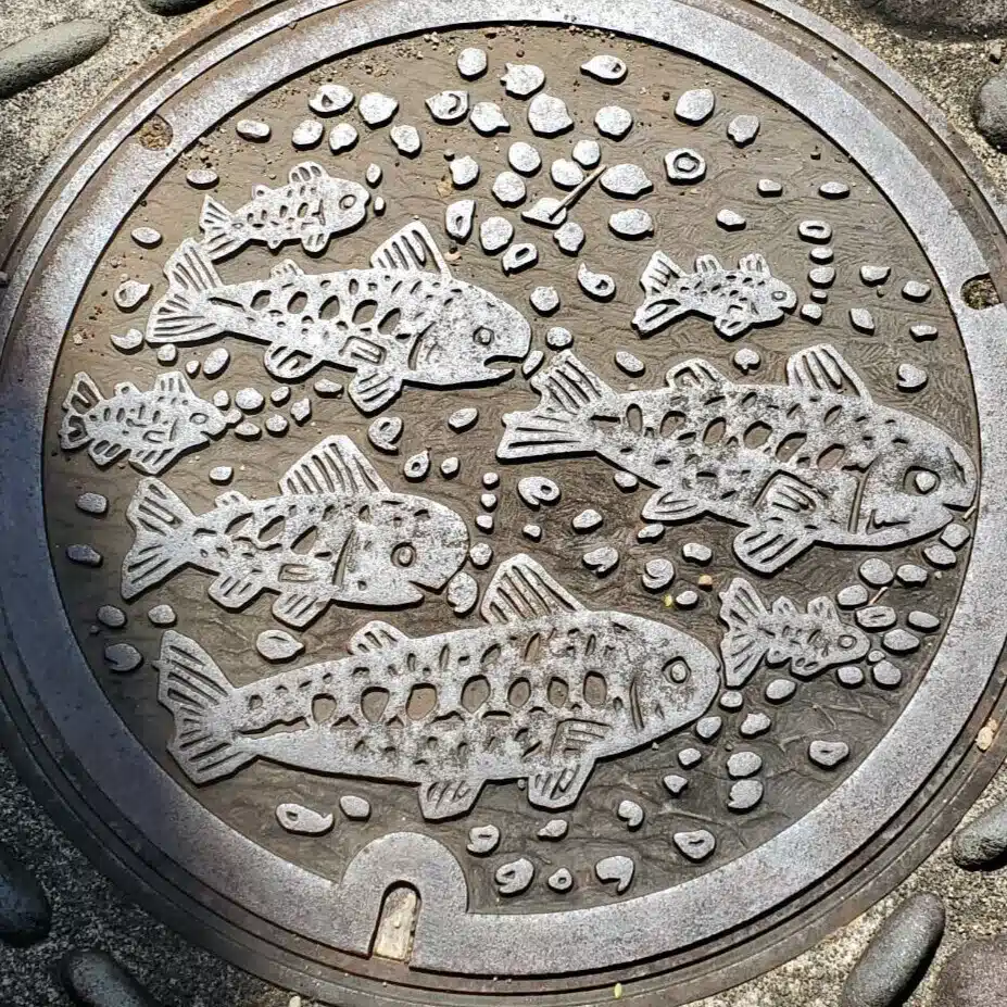 ラッコネコ
