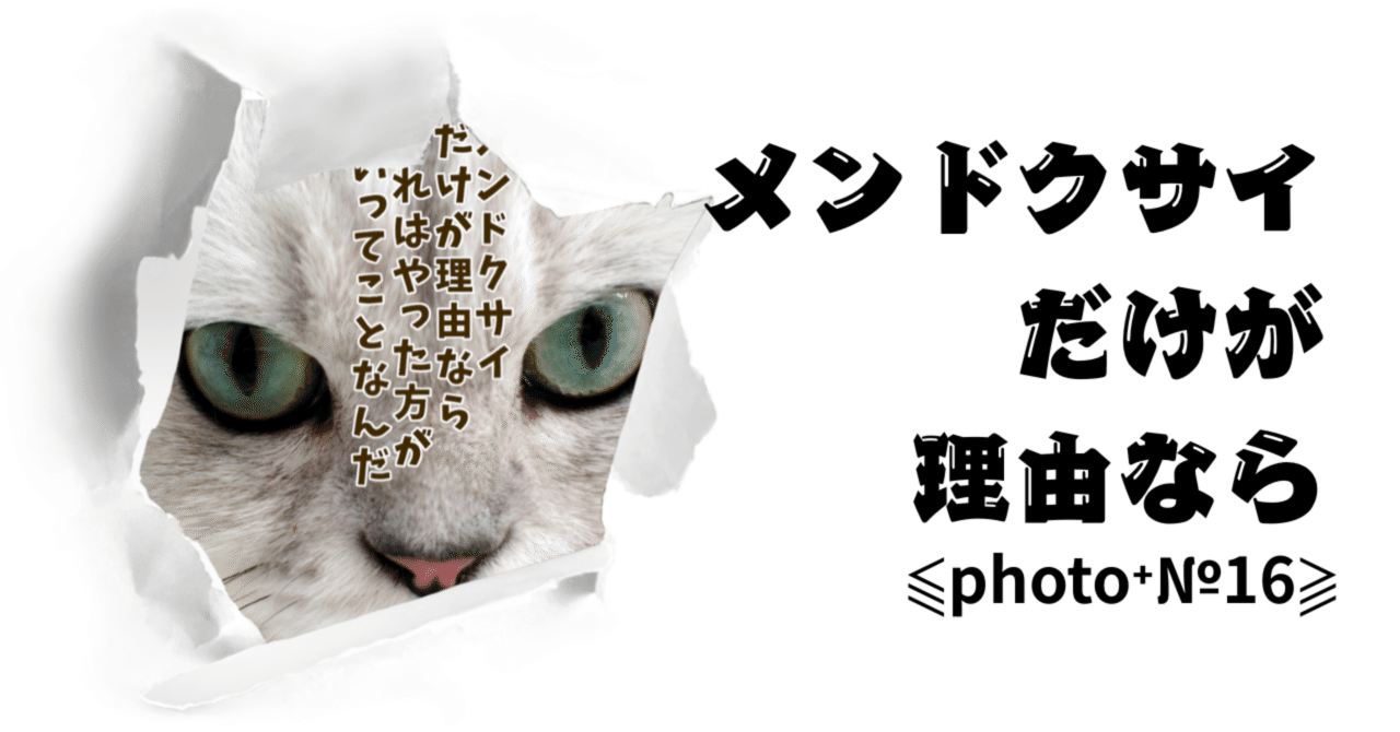 出来るんだったら今やろう⫹photo⁺№16⫺『メンドクサイだけが理由なら』|Daniel x Inoue(ダニエル ︎イノウエ)*世界と ...