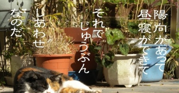 ◇評釈．《「一穂の錐買ひしかばかたへなる一茎のやはらかき妹