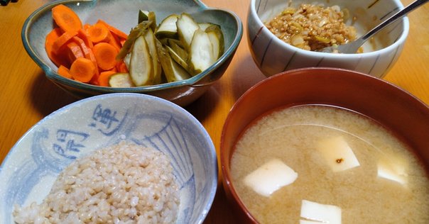 【状態良好】日本人の正しい食事　沼田勇 A 日本人の正しい食事: 現代に生きる石塚左玄の食養・食育論 (健康