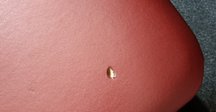 どうして最新鋭の飛行機のトイレに灰皿が付いているのか。｜Rydeen