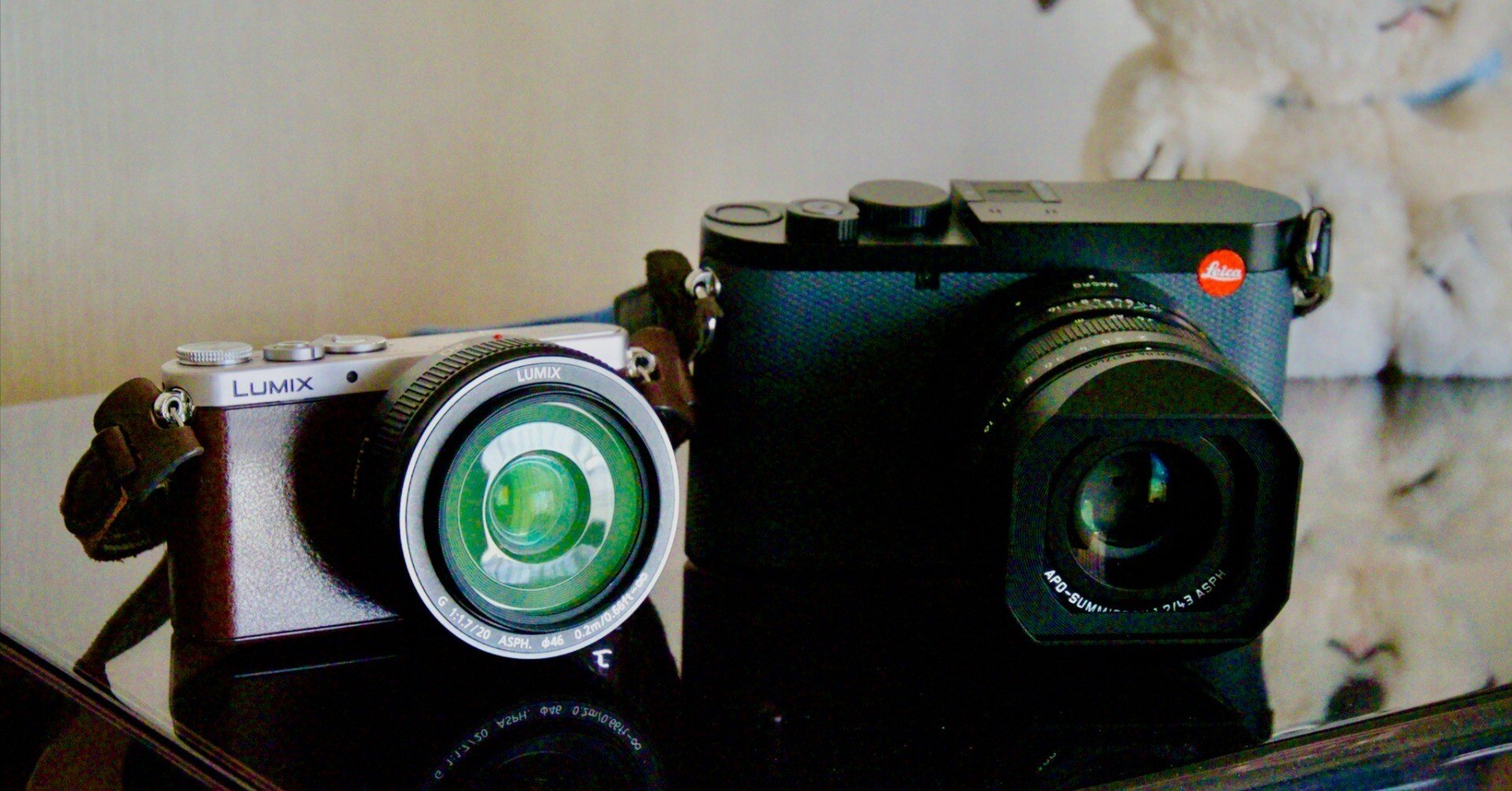 カメラ多頭飼いの愉しみ〜2014年と2024年のカメラと。｜飯田有抄