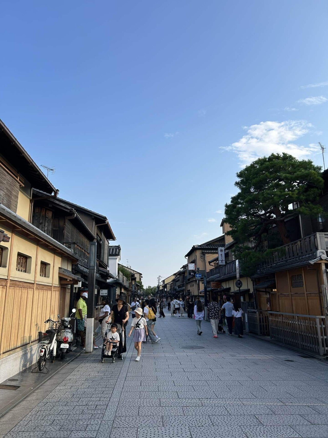 京都・町歩き 京都ひとり旅【街ぶら編】｜どん
